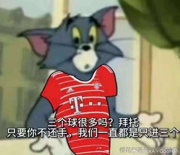 雷速官网-全场乱象！拜仁慕尼黑庆幸逃过冤案-第2张图片-雷速官网