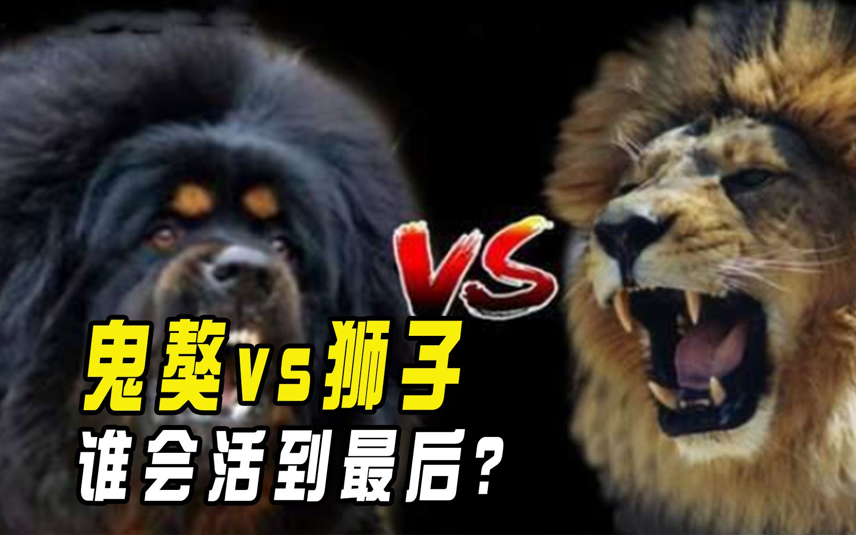 雷速官网-针锋相对，谁能夺取最后的胜利？-第2张图片-雷速官网