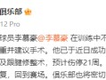 雷速官网下载-黑豹队主力球员重伤，赛季报销