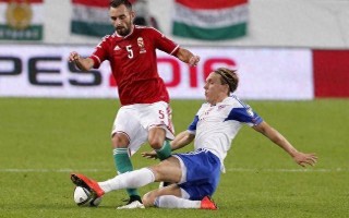 雷速官网下载-匈牙利队战胜波黑止步于八强