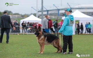 雷速官网下载-基里巴斯球队冲刺晋级，引领赛场气氛