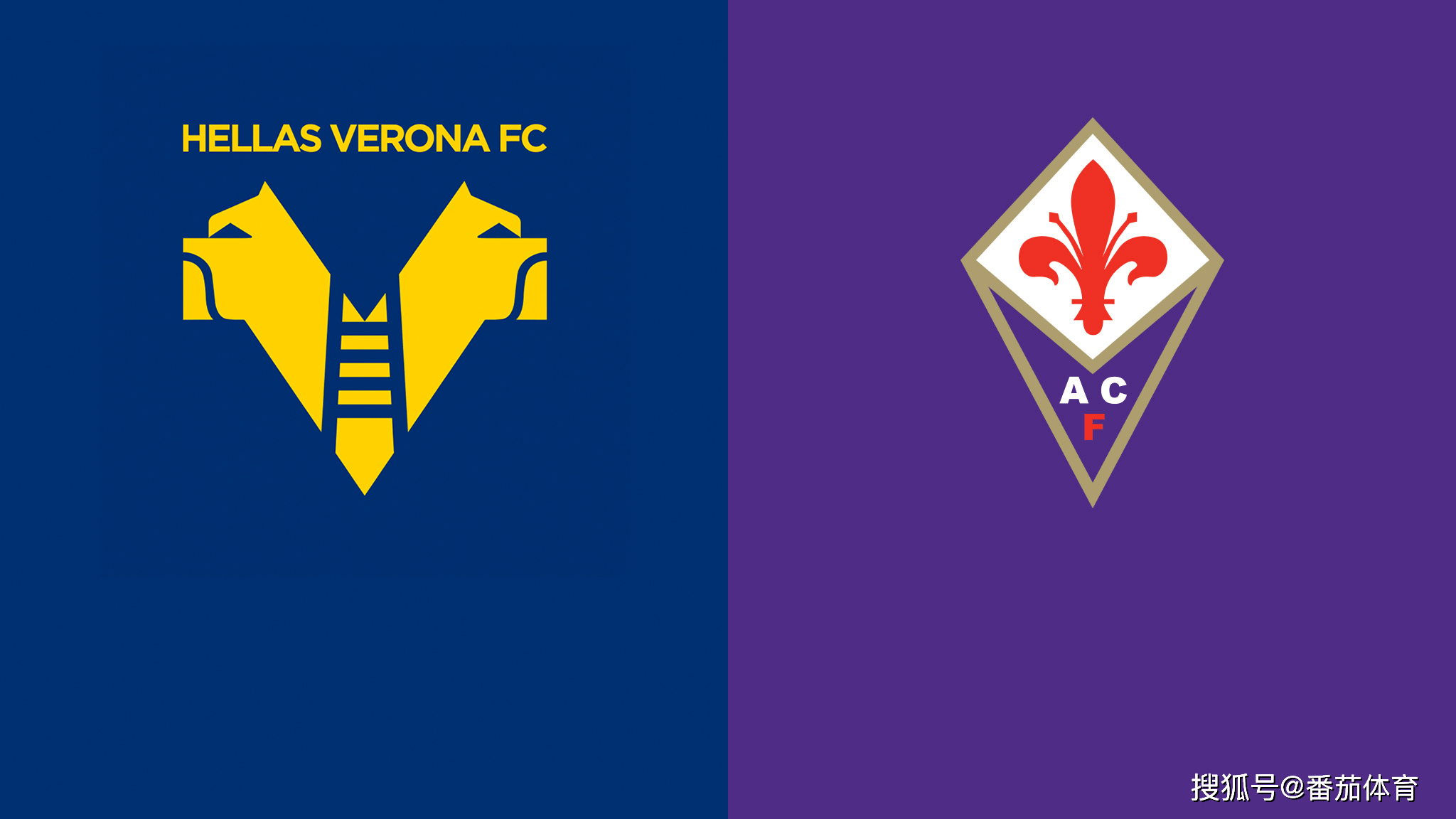 雷速官网-佛罗伦萨全面启动备战模式,维罗纳需迅速调整状态-第1张图片-雷速官网 雷速官网-佛罗伦萨全面启动备战模式,维罗纳需迅速调整状态-第1张图片-雷速官网