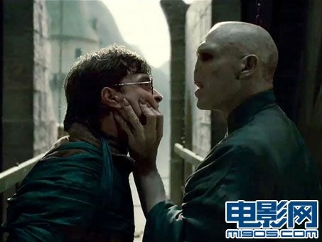 雷速-沃尔科特豪言必胜，决战至死-第2张图片-雷速官网