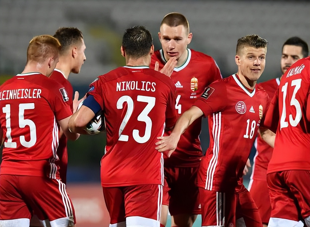 雷速-塞尔维亚战平爱尔兰,欧锦赛资格赛形势严峻-第1张图片-雷速官网 雷速-塞尔维亚战平爱尔兰,欧锦赛资格赛形势严峻-第1张图片-雷速官网