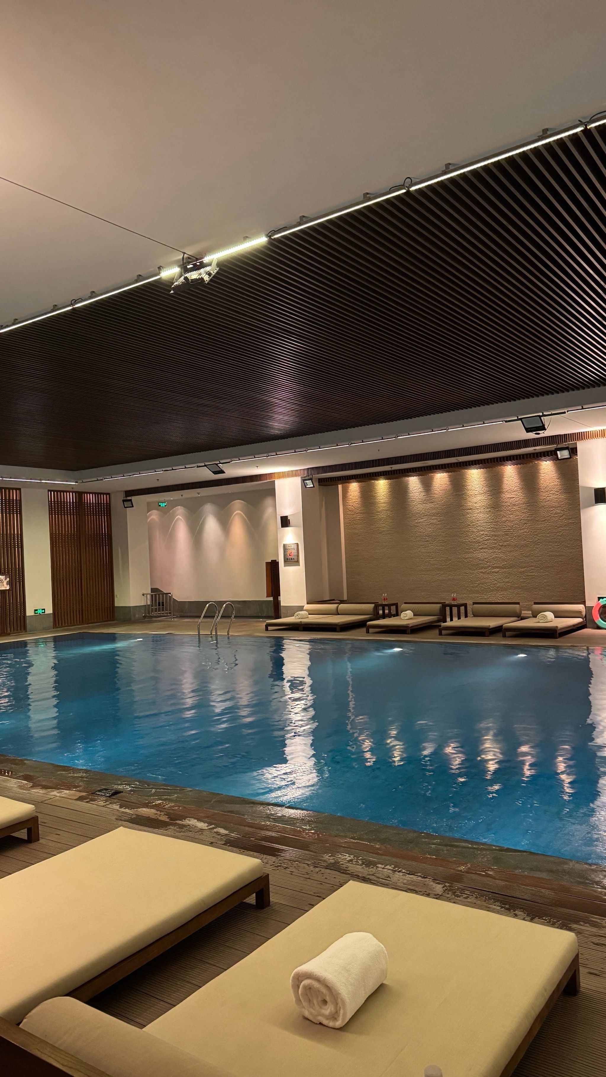 雷速官网-游泳项目中实力擂台,这位选手称霸泳池-第1张图片-雷速官网 雷速官网-游泳项目中实力擂台,这位选手称霸泳池-第1张图片-雷速官网